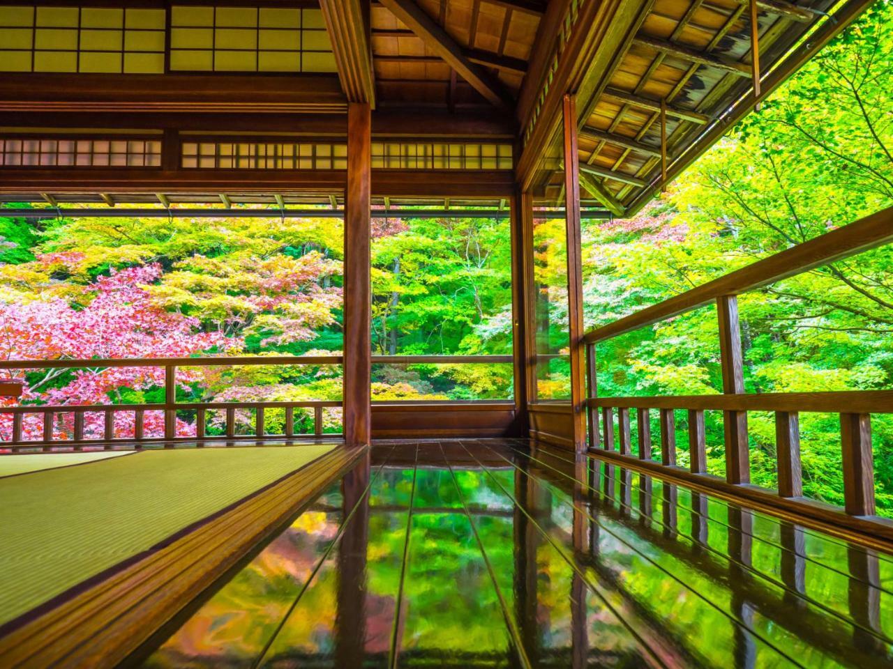 Hg Cozy Hotel No.11 Киото Экстерьер фото